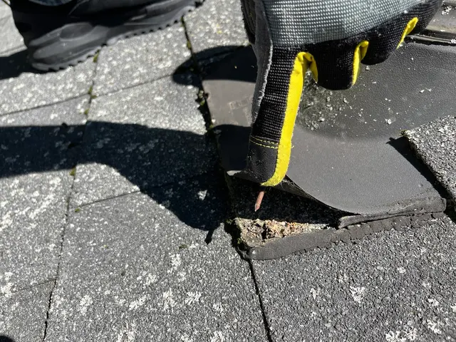 HHI Hodge Home Inspections — photo from the business 2