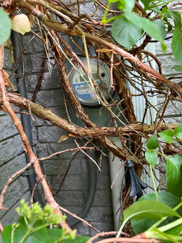HHI Hodge Home Inspections — photo from the business 10