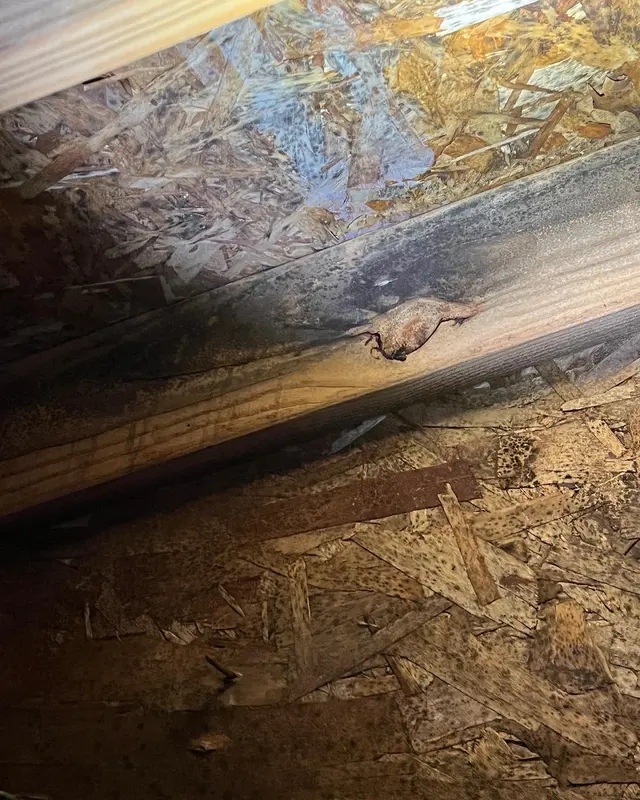 HHI Hodge Home Inspections — photo from the business 12