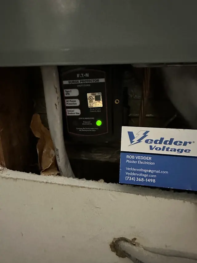Vedder Voltage — photo from the business 3