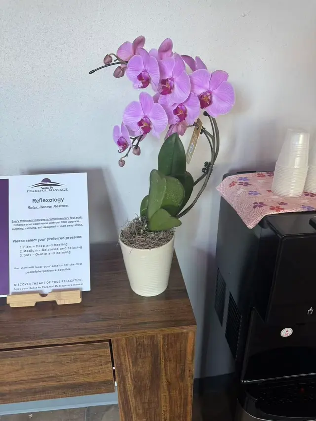 Santa Fe Peaceful Massage — customer photo 9