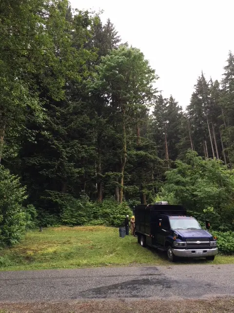 Precision Tree Service — photo from the business 12