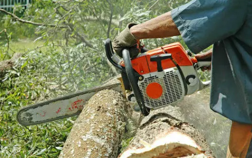 Precision Tree Service — photo from the business 10