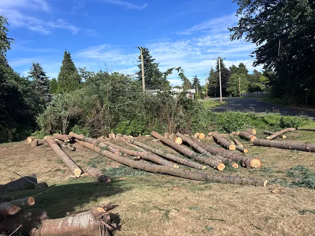 John the Arborist — photo from the business 9