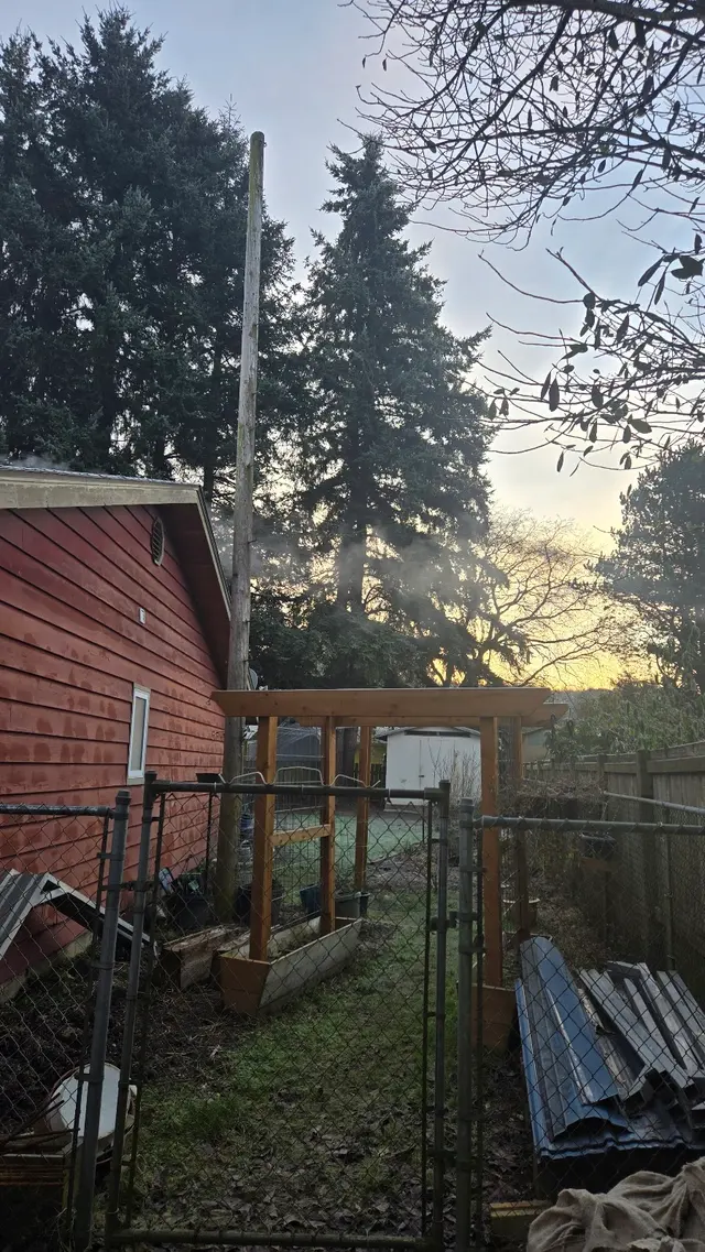 John the Arborist — customer photo 11