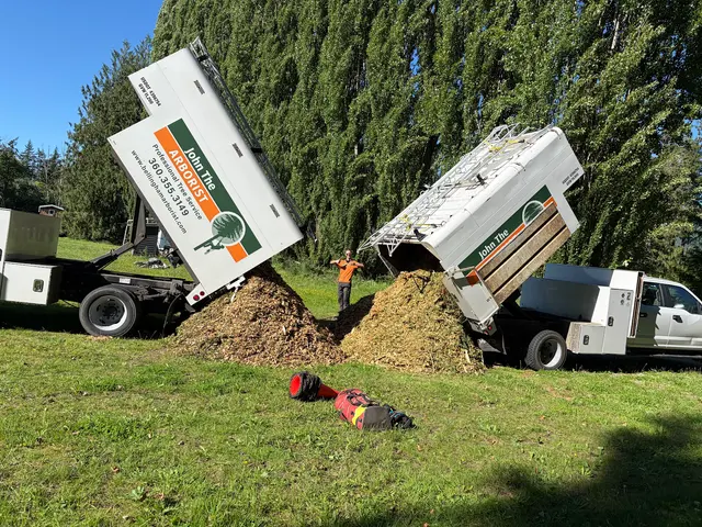 John the Arborist — photo from the business 12