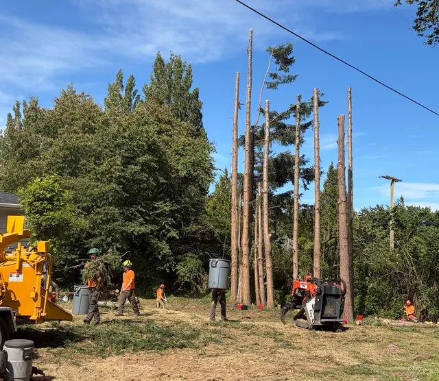 John the Arborist — photo from the business 5