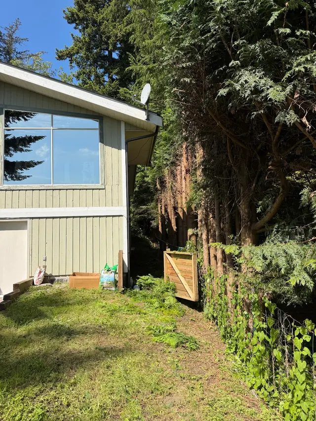 Customer photo of work by Stumpys Tree Care, from Tracy Armoogam's review