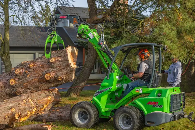 Stumpys Tree Care — photo from the business 8