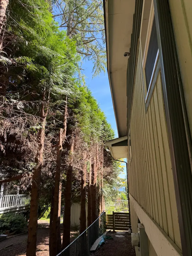 Customer photo of work by Stumpys Tree Care, from Tracy Armoogam's review