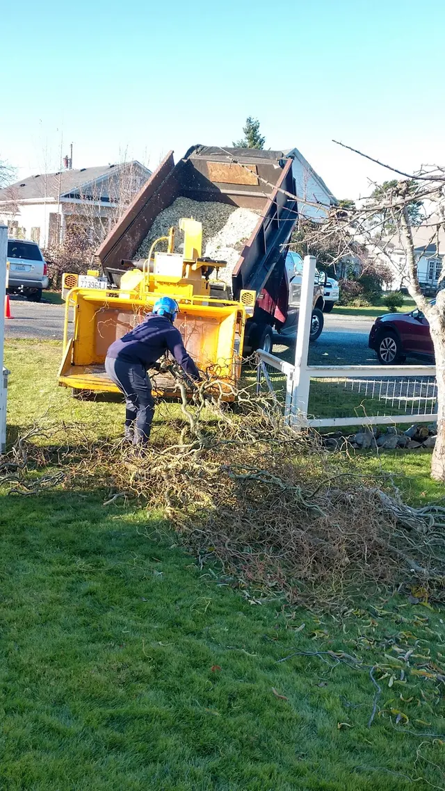 Stumpys Tree Care — customer photo 5