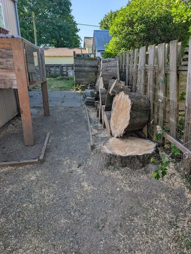 Stumpys Tree Care — customer photo 11