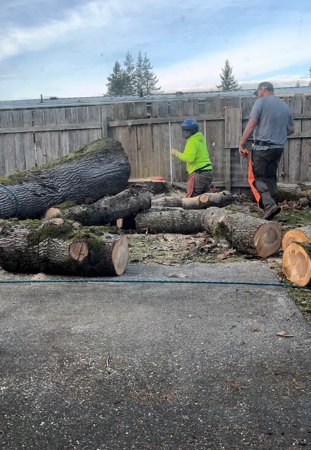 Stumpys Tree Care — customer photo 6