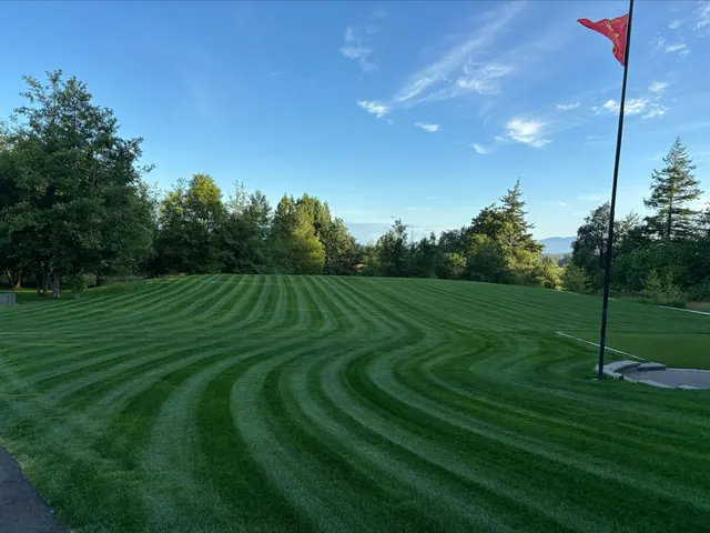 North County Landscape Co. — photo from the business 7