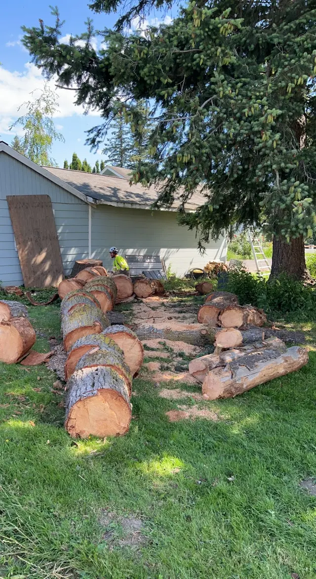 Zender Tree Service — customer photo 9