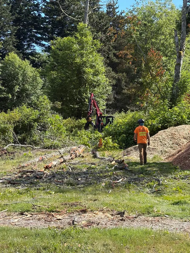 Timber Tree and Construction — customer photo 7