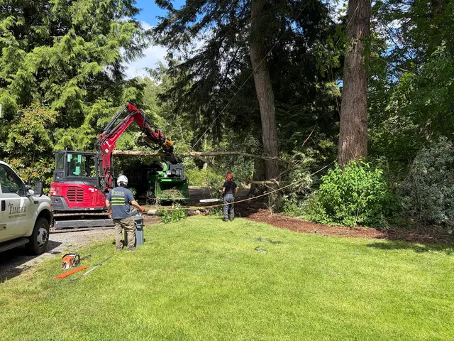 Timber Tree and Construction — customer photo 6