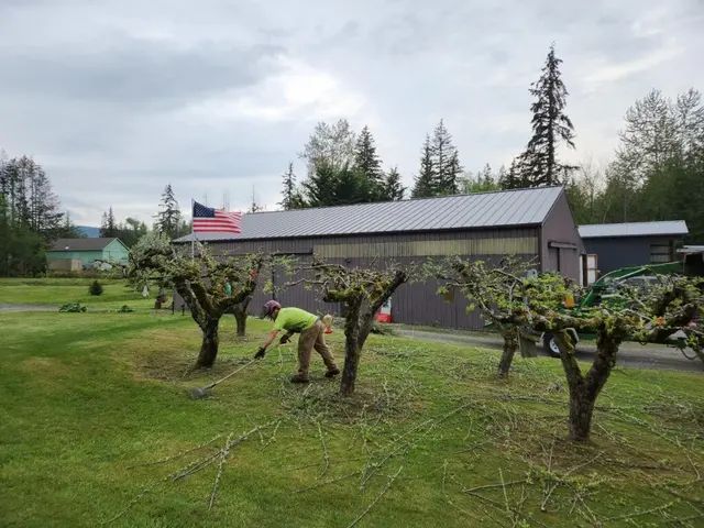 Tangled Roots Tree Care — photo from the business 4