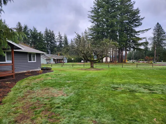 Tangled Roots Tree Care — customer photo 8