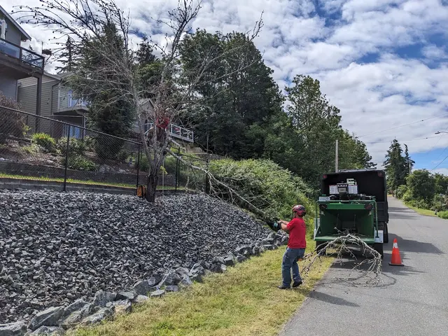Tangled Roots Tree Care — customer photo 9