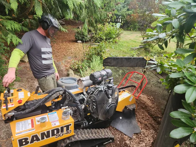 Tangled Roots Tree Care — photo from the business 6