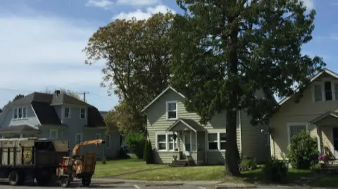 Western Star Tree Services — photo from the business 1