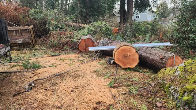 DAVE THE TREE GUY TREE CARE SERVICE. CUSTER WA — photo from the business 7