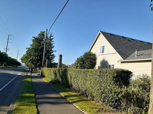 DAVE THE TREE GUY TREE CARE SERVICE. CUSTER WA — photo from the business 1