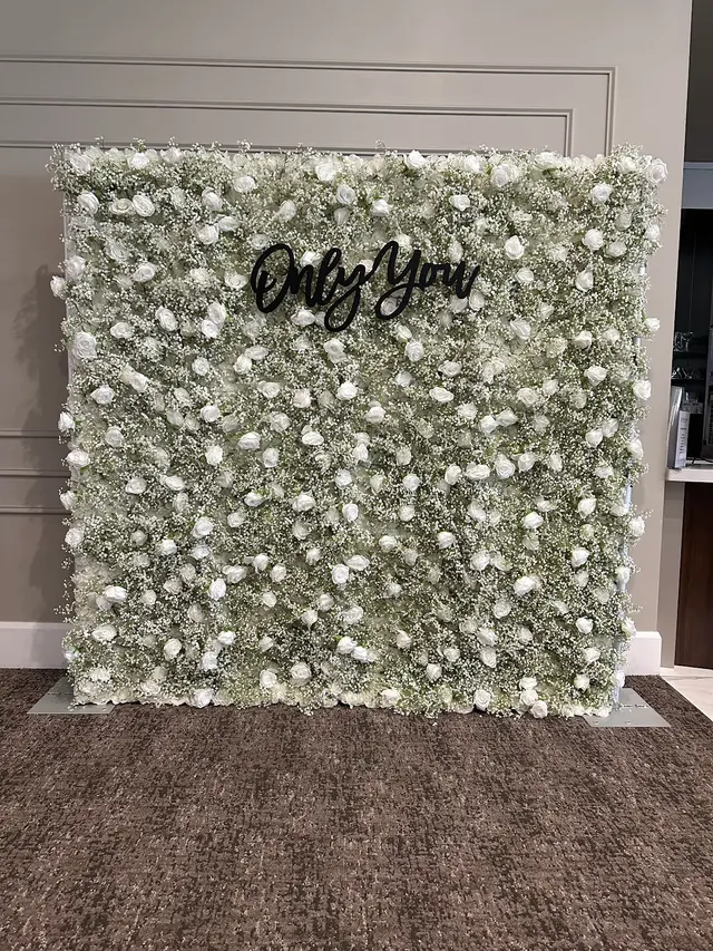 Pittsburgh Backdrop Rentals — photo from the business 7