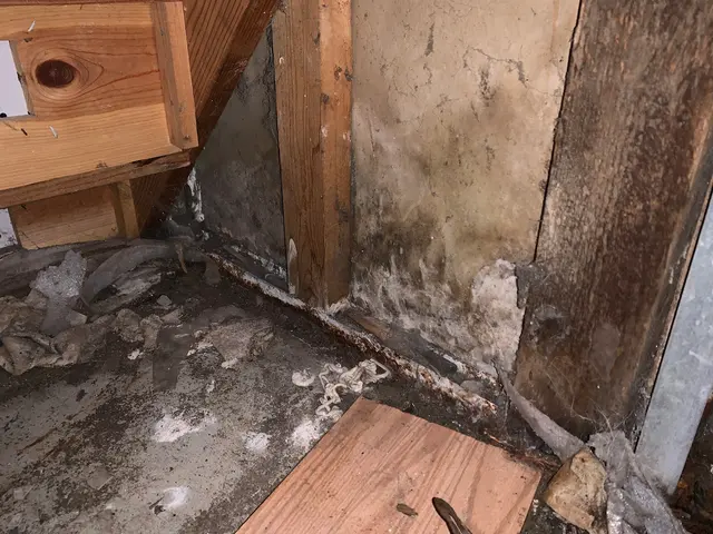 WIN Home Inspection — photo from the business 6