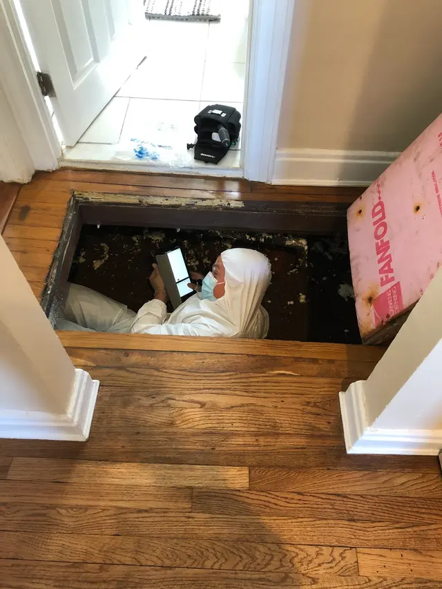 Cordina Inspections & Consulting — customer photo 5