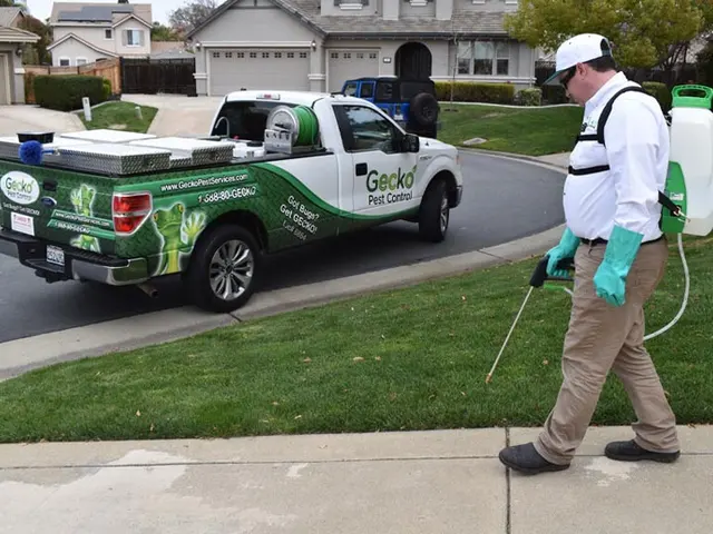 Gecko Pest Control — photo from the business 2