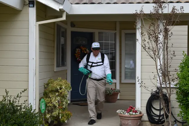 Gecko Pest Control — photo from the business 3