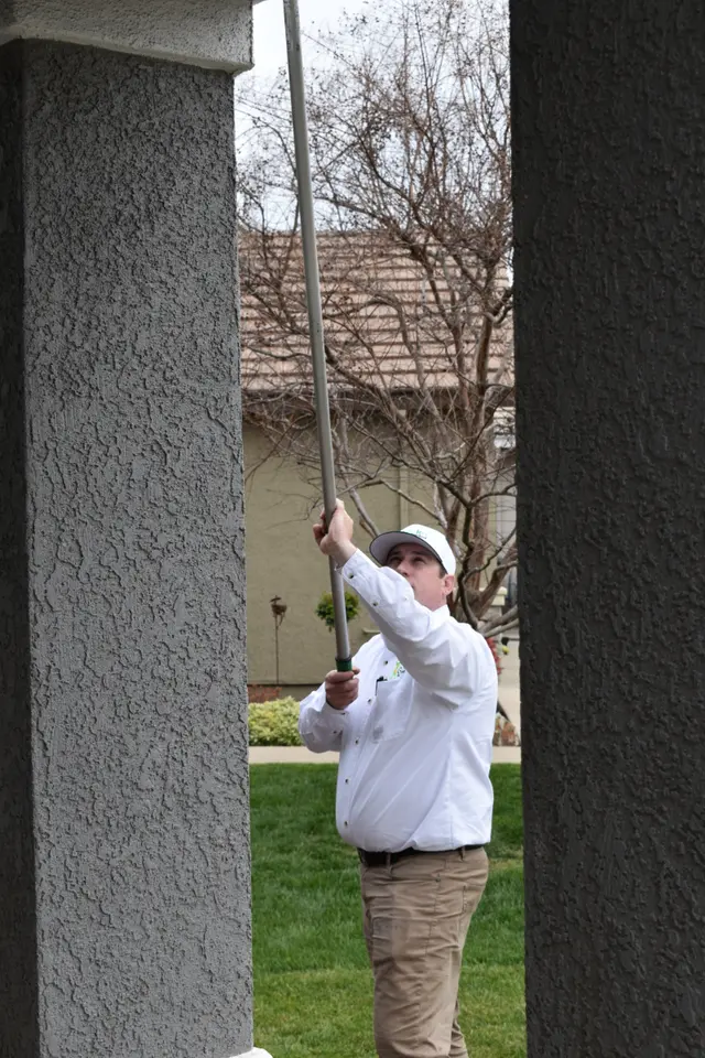 Gecko Pest Control — photo from the business 11