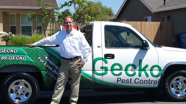 Gecko Pest Control — photo from the business 1