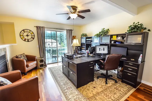 Gecko Pest Control — photo from the business 6