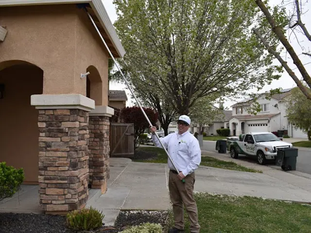 Gecko Pest Control — photo from the business 4