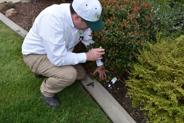 Gecko Pest Control — photo from the business 11
