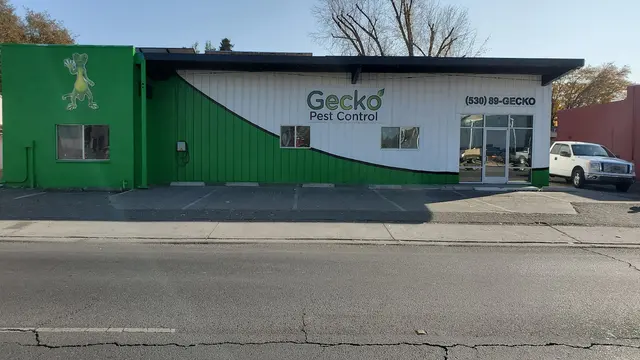 Gecko Pest Control — photo from the business 10