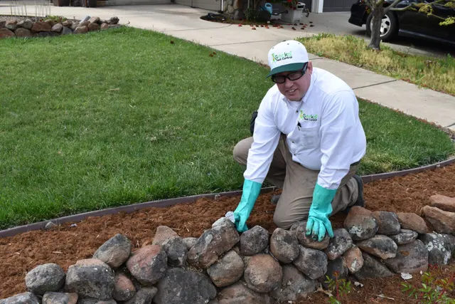 Gecko Pest Control — photo from the business 9
