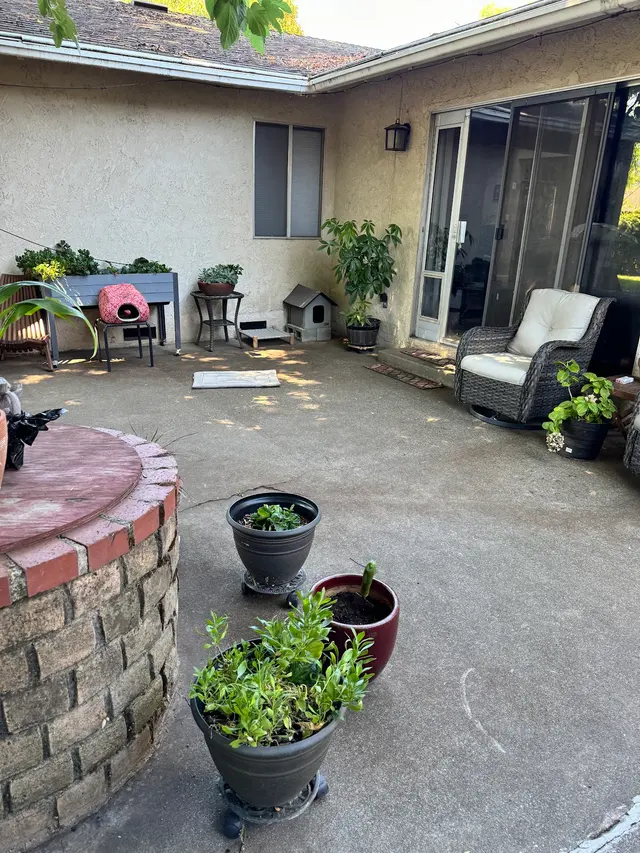 Gecko Pest Control — customer photo 8