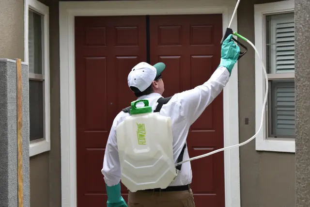 Gecko Pest Control — photo from the business 5