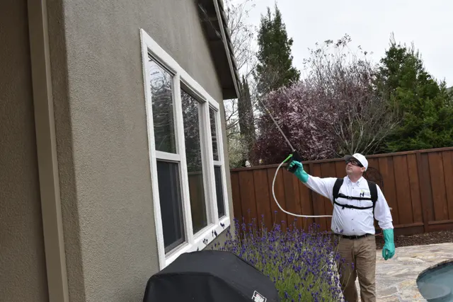 Gecko Pest Control — photo from the business 12