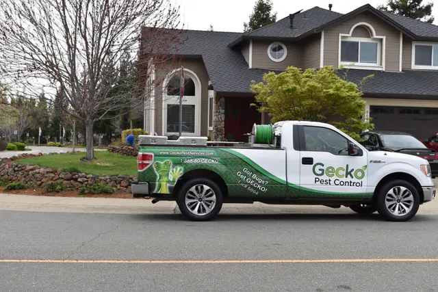 Gecko Pest Control — photo from the business 2