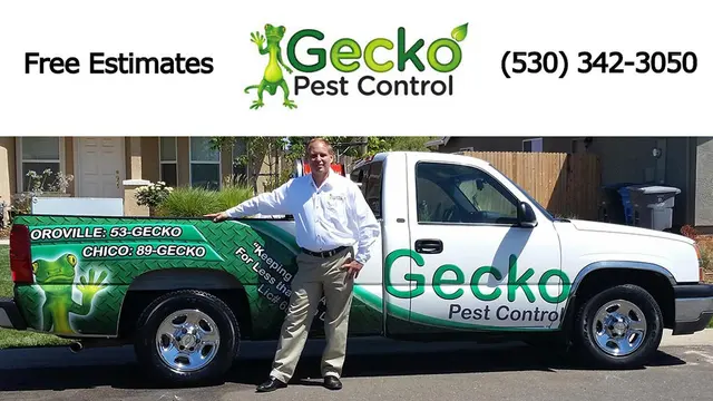 Gecko Pest Control — photo from the business 1
