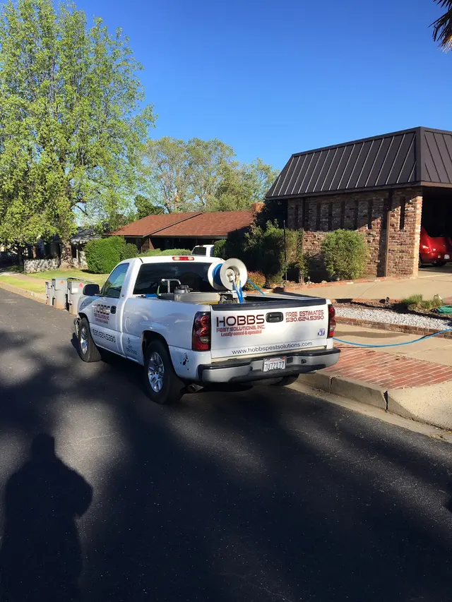 Hobbs Pest Solutions — photo from the business 11