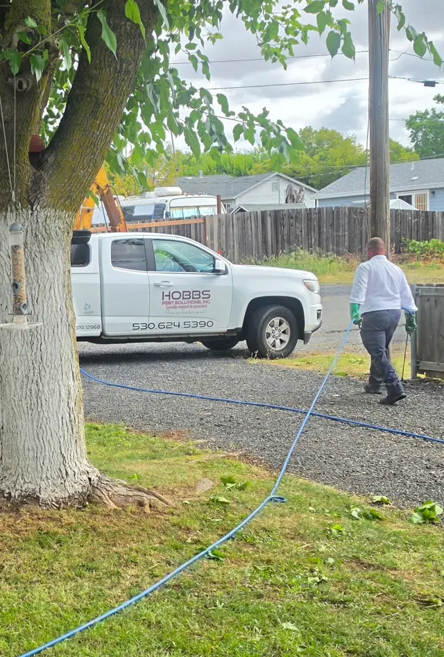 Hobbs Pest Solutions — customer photo 10
