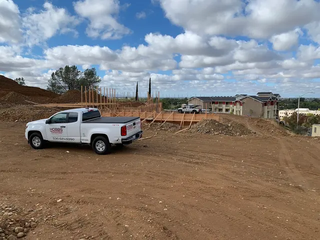 Hobbs Pest Solutions — photo from the business 12