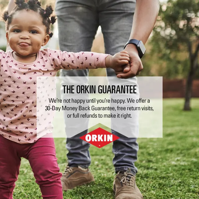 Orkin — photo from the business 10