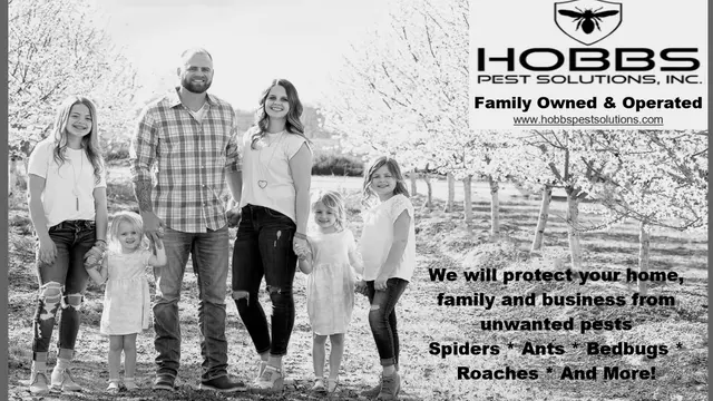 Hobbs Pest Solutions — photo from the business 1